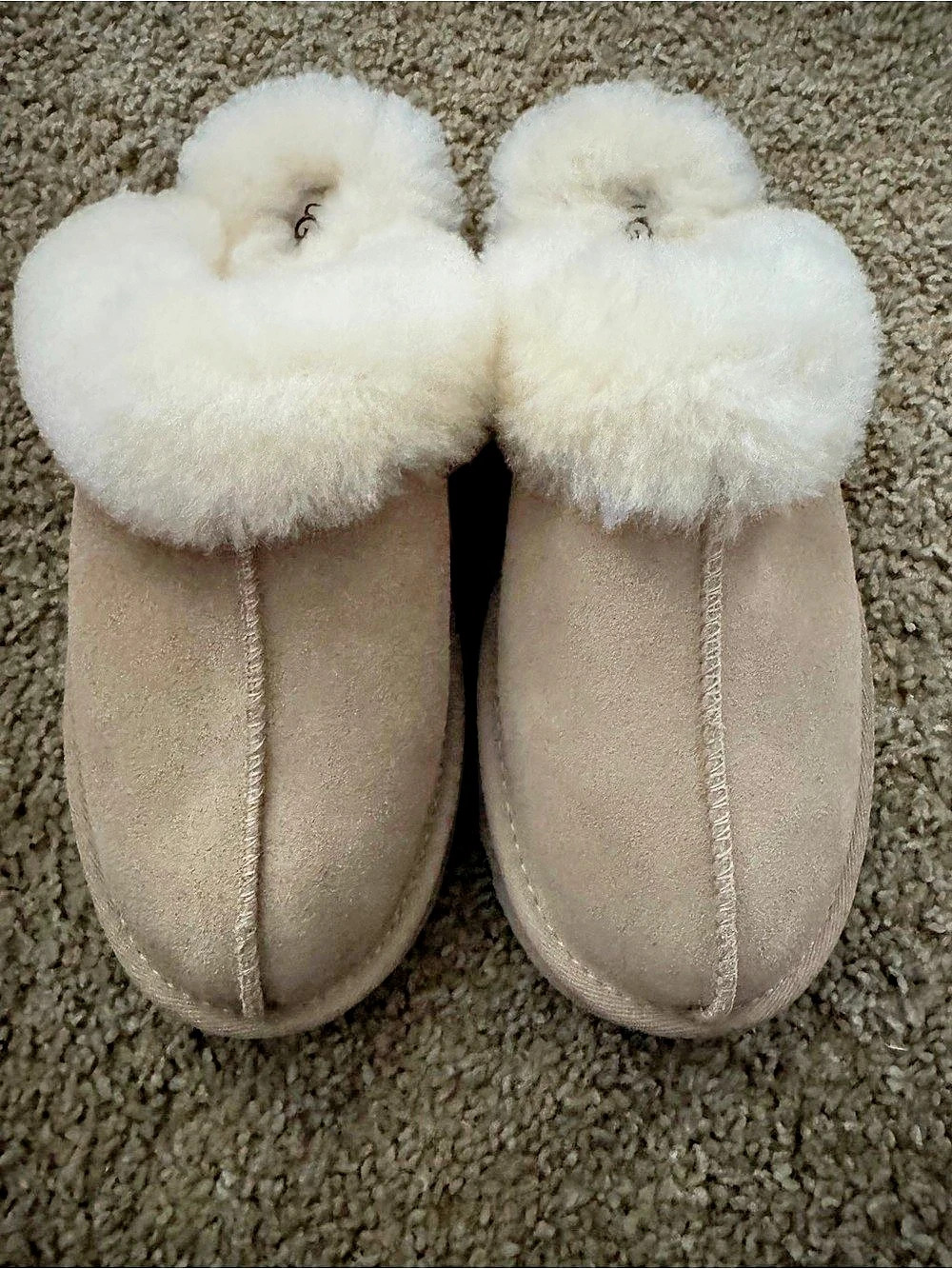 UGG Scuffette II Suede Slippers in Brown & White US 6